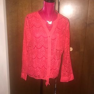 Cato sheer lace Blouse